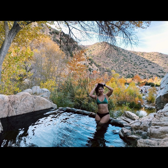 Meet your Posher, Priscilla - Picture 1 of 1